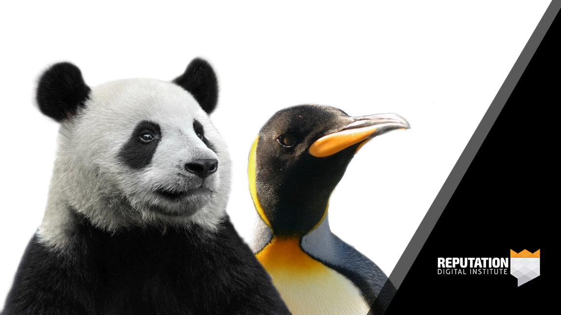 seo algorithm animals